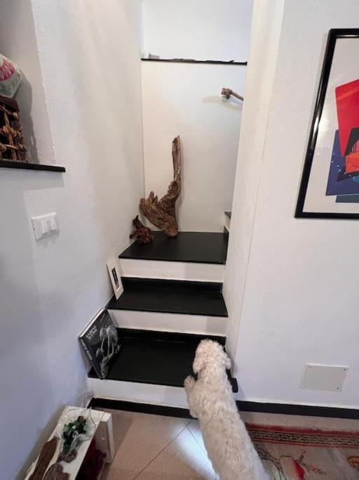 Casa Orri Quinto Mare E Gaslini Apartment Genoa Luaran gambar